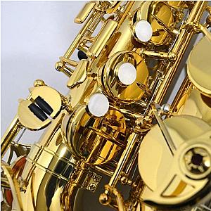 Yamaha Saxophone Student Model YTS-480 Tenor Saxophone