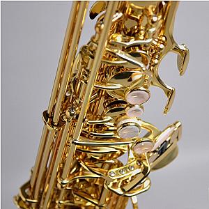New Yanagisawa Alto Saxophone, Professional Model A-WO10