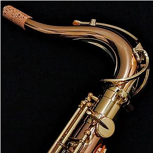 New Yanagisawa Tenor Saxophone, Professional Model T-WO2