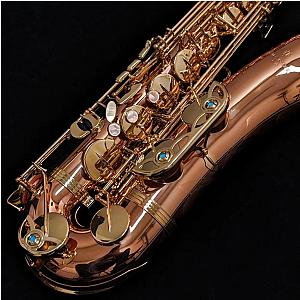 New Yanagisawa Tenor Saxophone, Professional Model T-WO2