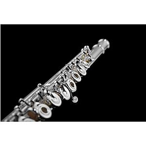 New Di Zhao Flute, Intermediate Model DZ601 BEF