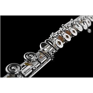 New Di Zhao Flute, Intermediate Model DZ601 BEF