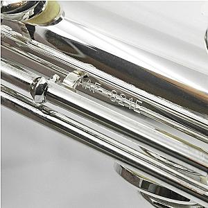 New Altus Alto Flute, Professional Model 817SE