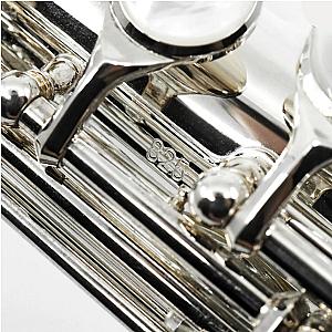 New Altus Alto Flute, Professional Model 817SE