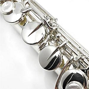 New Altus Alto Flute, Professional Model 817SE
