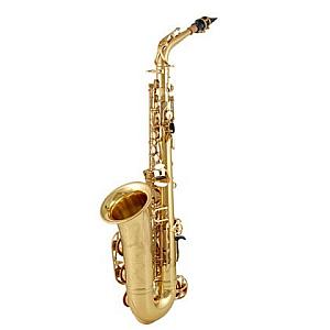 Yamaha Saxophone Professional Model YAS-62 Alto Saxophone