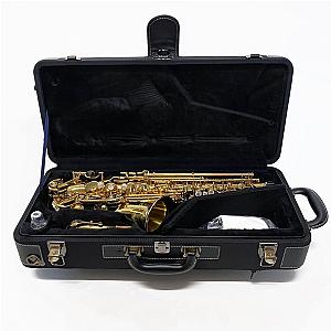 Yanagisawa Saxophone Professional Model A-WO1 Alto Saxophone