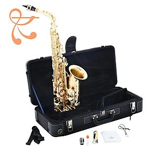 Yanagisawa Saxophone Professional Model A-WO1 Alto Saxophone