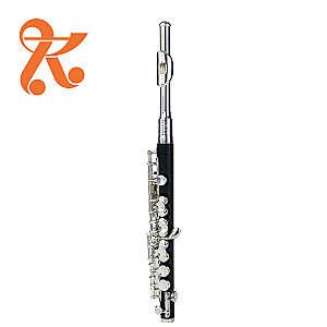 New Di Zhao Piccolo, Student Model DZP101