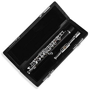 New Di Zhao Piccolo, Student Model DZP101