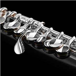 New Di Zhao Piccolo, Student Model DZP101