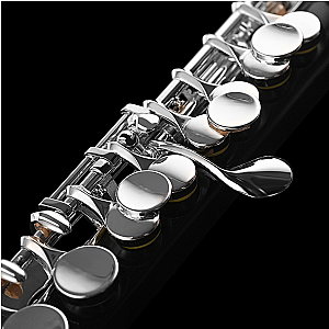 New Di Zhao Piccolo, Student Model DZP101