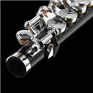 New Di Zhao Piccolo, Student Model DZP101