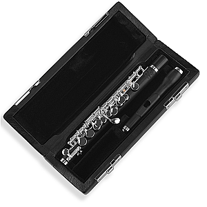 New Di Zhao Piccolo, Student Model DZP102