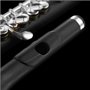 New Di Zhao Piccolo, Intermediate Model DZP201