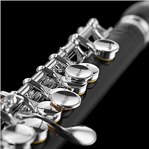 New Di Zhao Piccolo, Intermediate Model DZP201