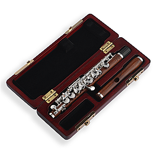 New Di Zhao Piccolo, Semi-Professional Model DZP301