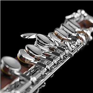 New Di Zhao Piccolo, Semi-Professional Model DZP301