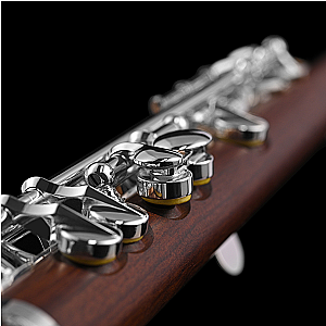 New Di Zhao Piccolo, Semi-Professional Model DZP301