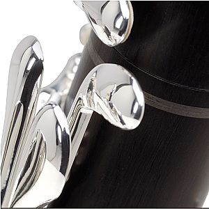 New Buffet Crampon Bb Clarinet, Professional Model Divine