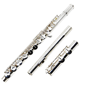 New Sankyo Alto Flute, Professional Model AF301