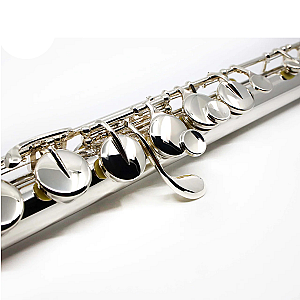 New Sankyo Alto Flute, Professional Model AF301