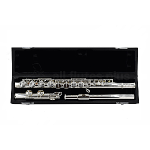 New Sankyo Flute, Professional Model AF401