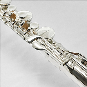 New Altus Flute, Professional Model 823
