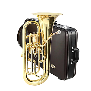 New Yamaha Bb Euphonium, Neo Professional Model YEP-621II