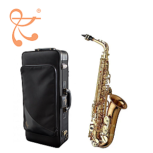 New Yanagisawa Alto Saxophone, Professional Model A-WO2