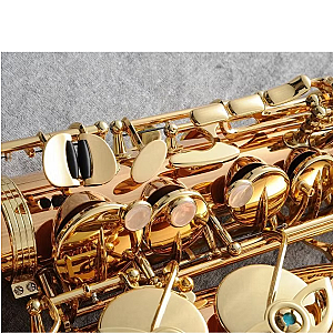 New Yanagisawa Alto Saxophone, Professional Model A-WO2