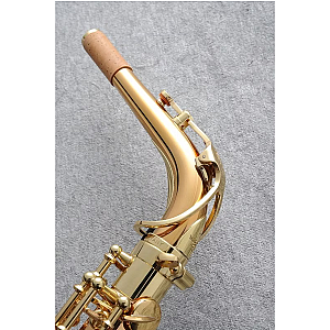 New Yanagisawa Alto Saxophone, Professional Model A-WO2