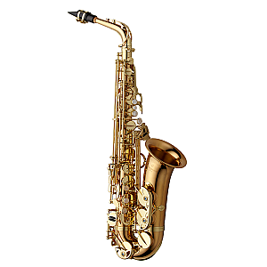 New Yanagisawa Alto Saxophone, Professional Model A-WO2