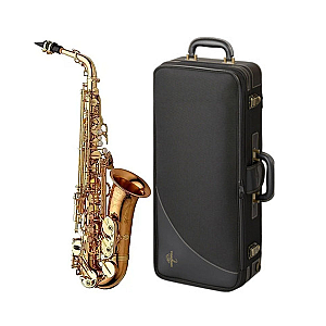 New Yanagisawa Alto Saxophone, Professional Model A-WO20