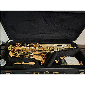 New Yanagisawa Alto Saxophone, Professional Model A-WO20