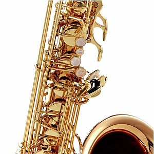 New Yanagisawa Tenor Saxophone, Professional Model T-WO20