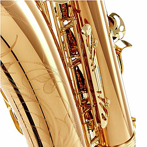 New Yanagisawa Tenor Saxophone, Professional Model T-WO20
