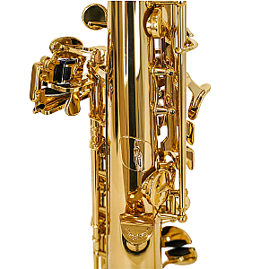 New Yanagisawa Soprano Saxophone, Professional Model S-WO10