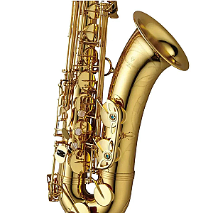 New Yanagisawa Tenor Saxophone, Professional Model T-WO1