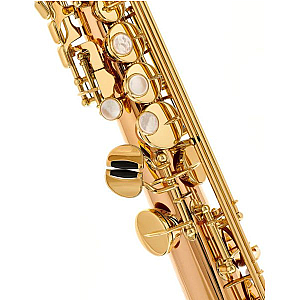 New Yanagisawa Soprano Saxophone, Professional Model S-WO20