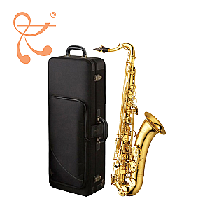 New Yanagisawa Tenor Saxophone, Professional Model T-WO10