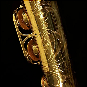 New Yanagisawa Tenor Saxophone, Professional Model T-WO10