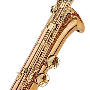 New Yanagisawa Baritone Saxophone, Professional Model B-WO2