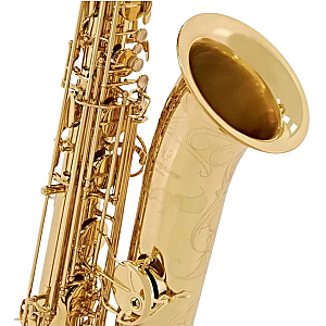 New Yanagisawa Baritone Saxophone, Professional Model B-WO10