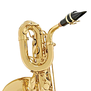 New Yanagisawa Baritone Saxophone, Professional Model B-WO10