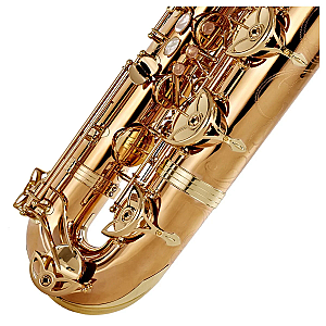 New Yanagisawa Baritone Saxophone, Professional Model B-WO20
