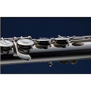 New Muramatsu Flute, Professional Model PTP