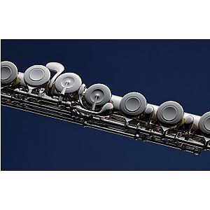 New Muramatsu Flute, Professional Model SR-PTP