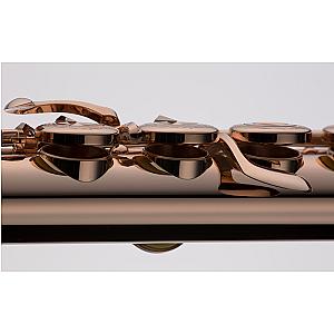 New Muramatsu Flute, Professional Model 9K Gold-SR