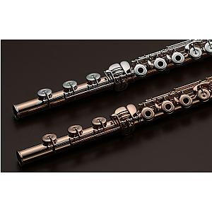 New Muramatsu Flute, Professional Model 14K Gold
